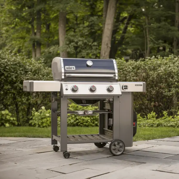 Weber Genesis II E-310 GBS-4